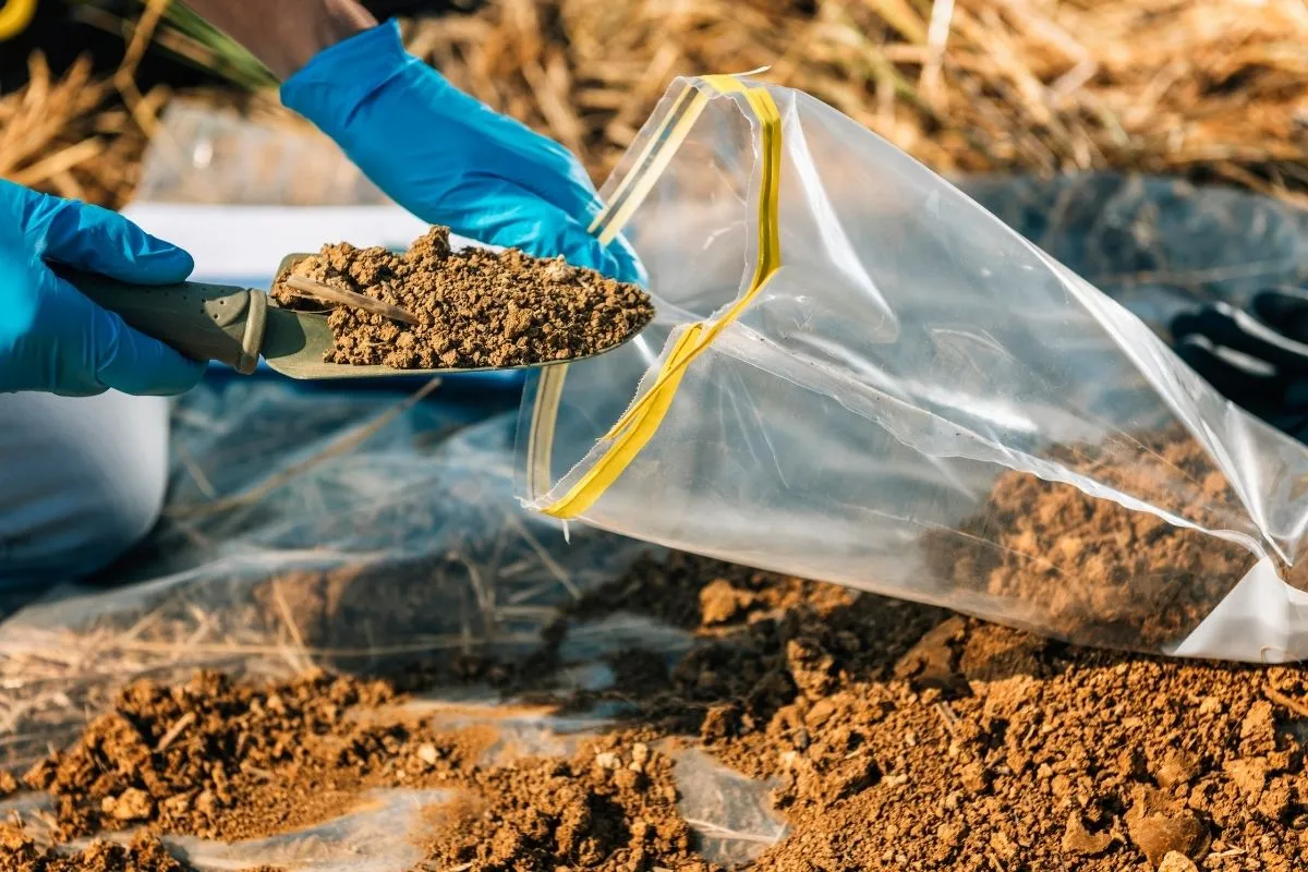 Soil Testing in Edmonton