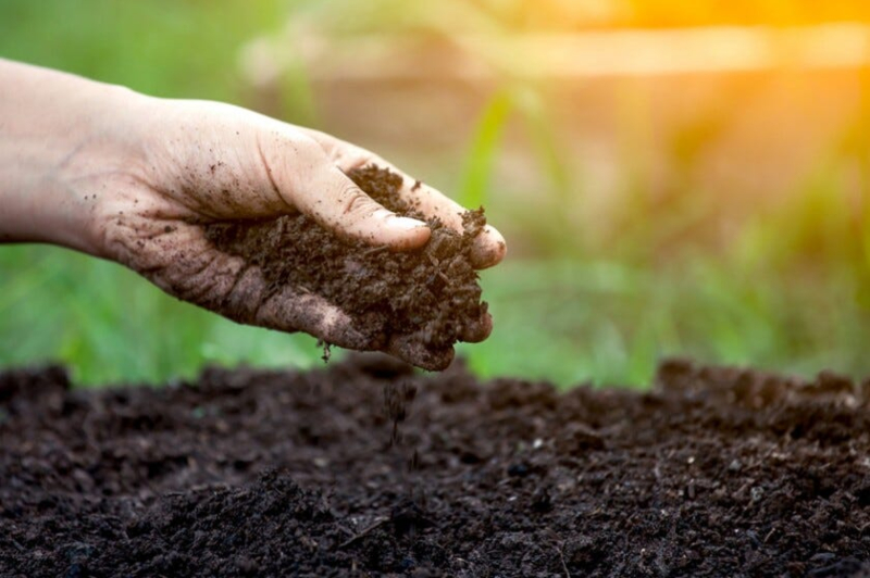 Soil Testing Edmonton